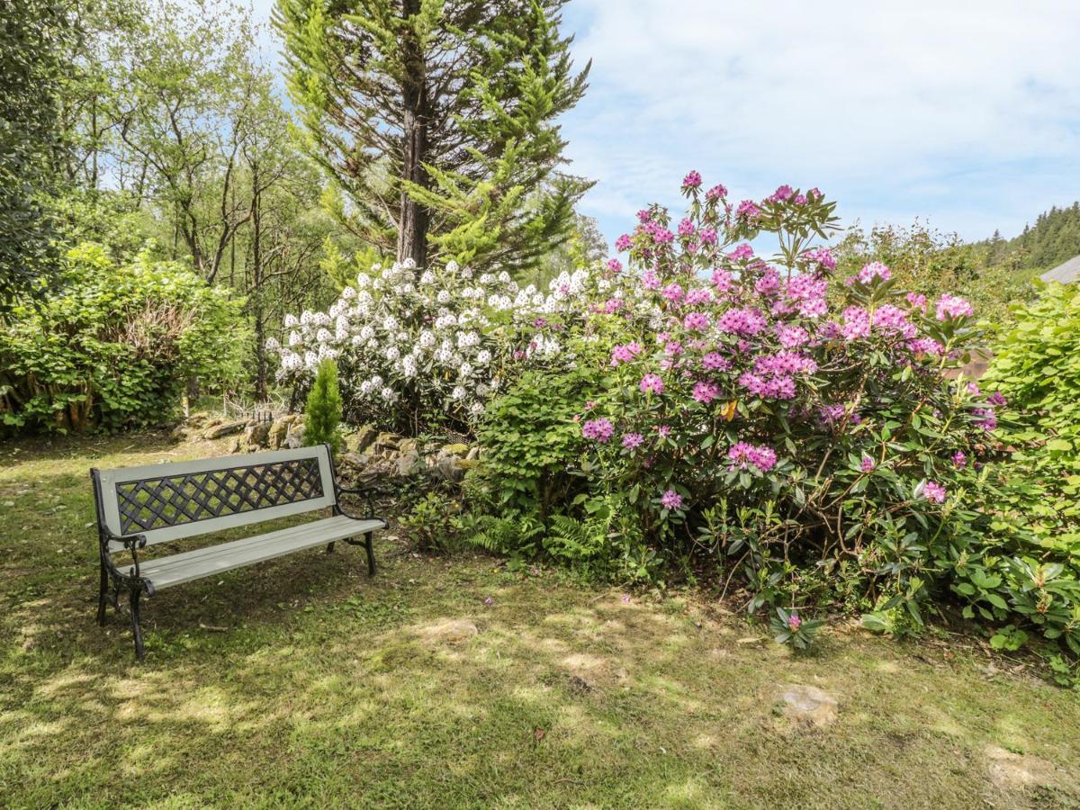 Bron Olau Villa Gellilydan Екстериор снимка